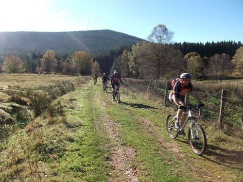 Monts du Forez : explorer le plus grand espace VTT de France