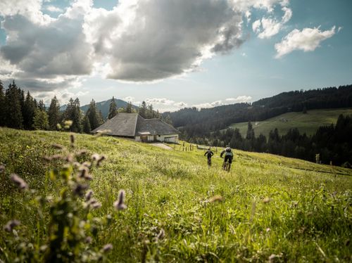 Suisse