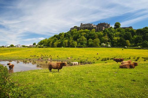 Stirling