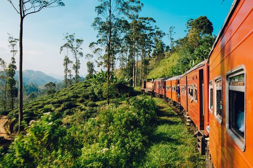 Train dans la nature