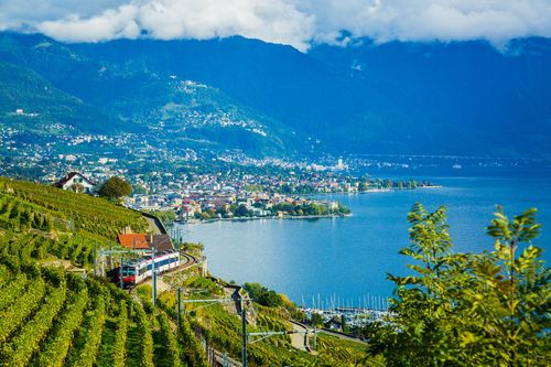 Train - vignes de Lavaux