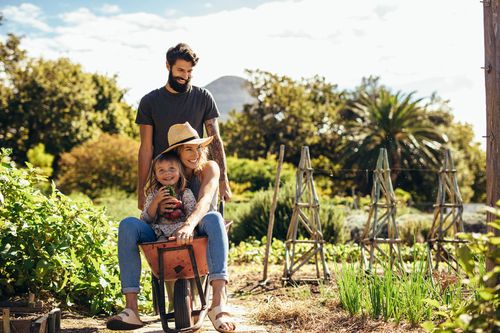 Vacances à la ferme