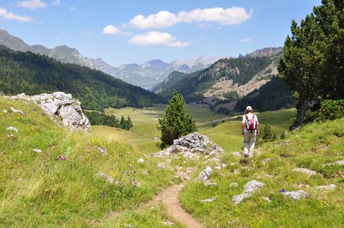 Béarn Vallée d'Ossau