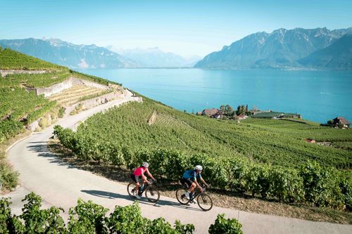 La Route des Vignobles, à vélo entre lac, alpages et villages vaudois