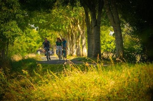 La Vélobuissonnière, 250 km à vélo entre Alençon et Saumur