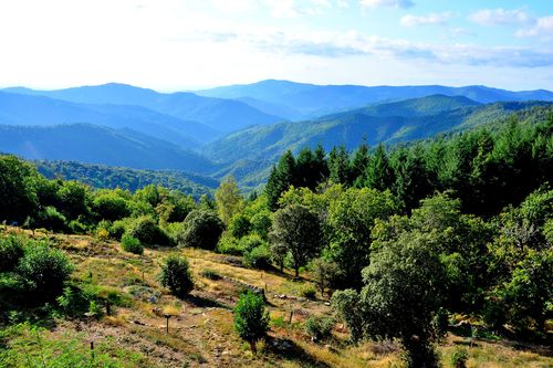 Ventalon-en-Cévennes