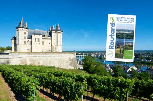 Vignes et château de Saumur