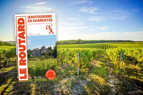 Vignoble de Cognac