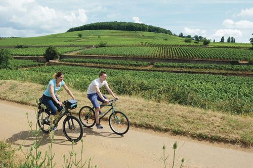 Parcourir la Voie des Vignes à vélo