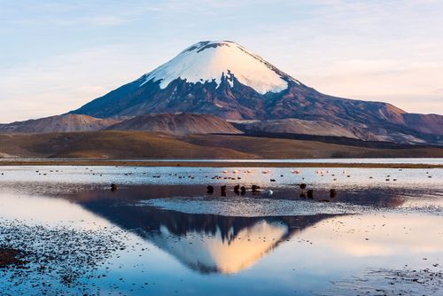 Volcan Parinacota