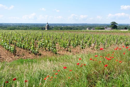 Vouvray Vouvray