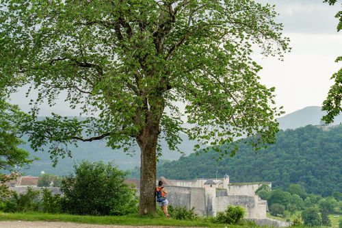 Vue sur la Citadelle