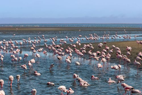 Walvis Bay