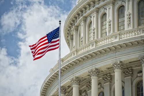 Washington DC Capitol detail