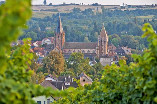 Alsace Wissembourg