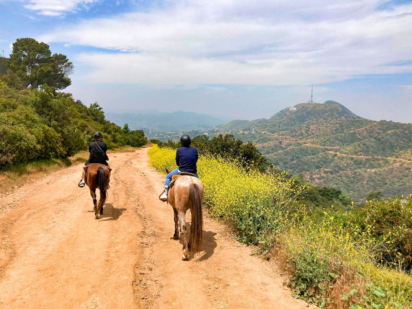 À cheval - collines du Hollywood Sign
