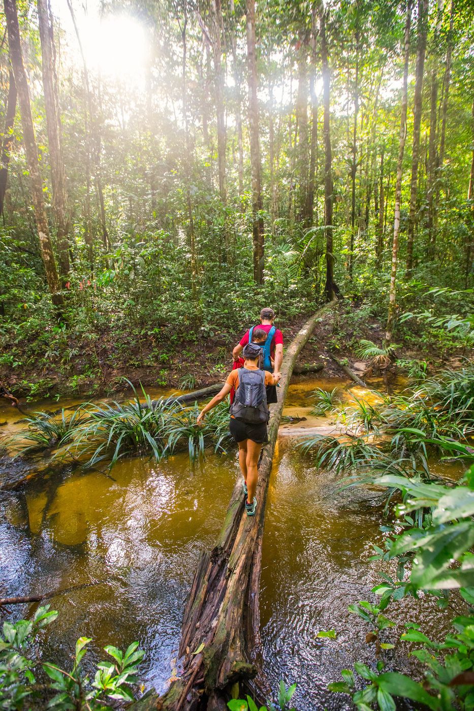 Guyane Sentier des Chutes Voltaire