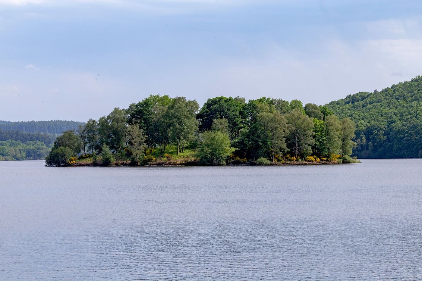 Île aux serpents