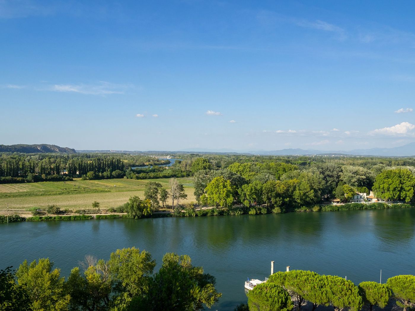 Île de la Barthelasse - Avignon