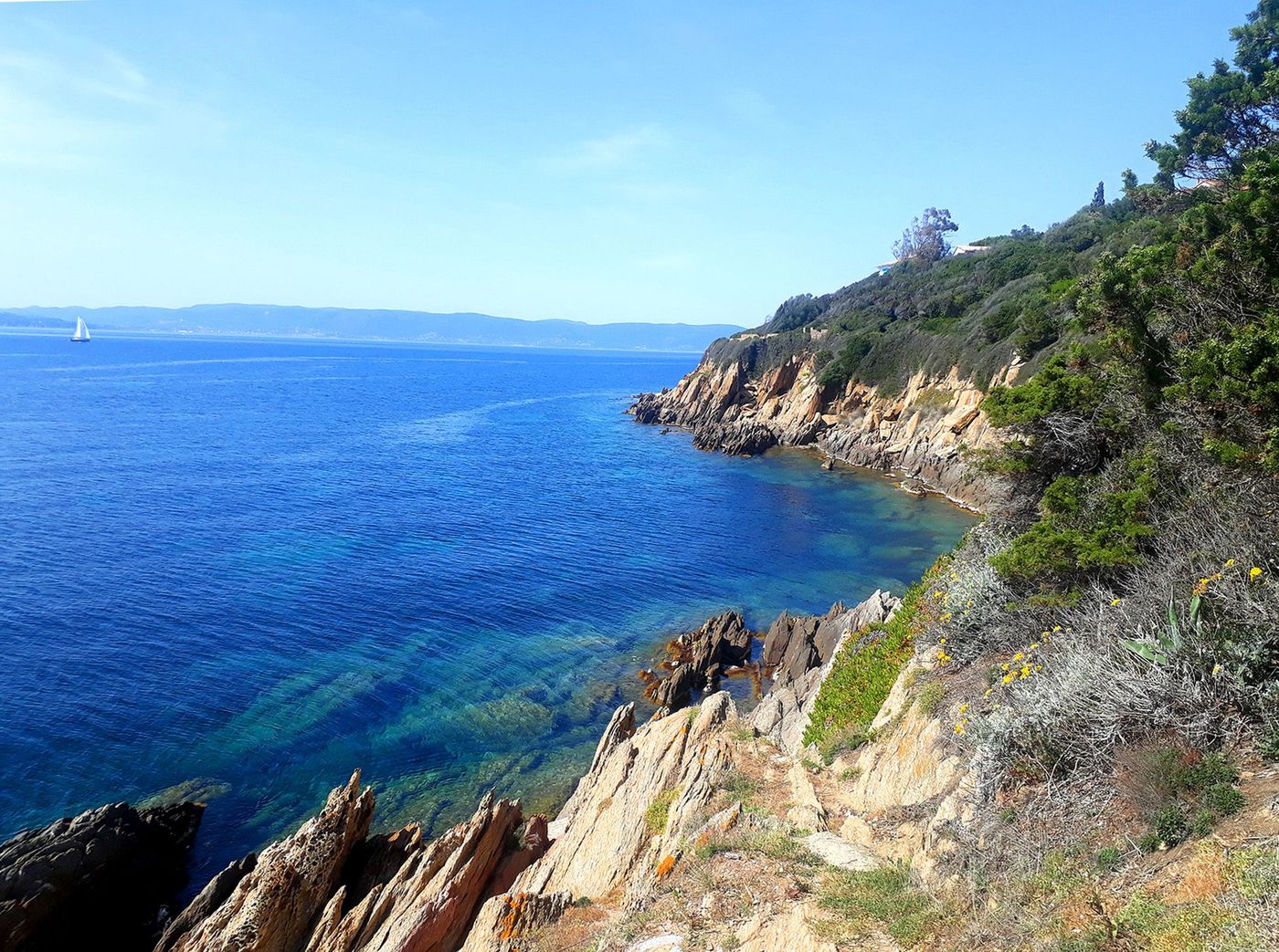 Île du Levant