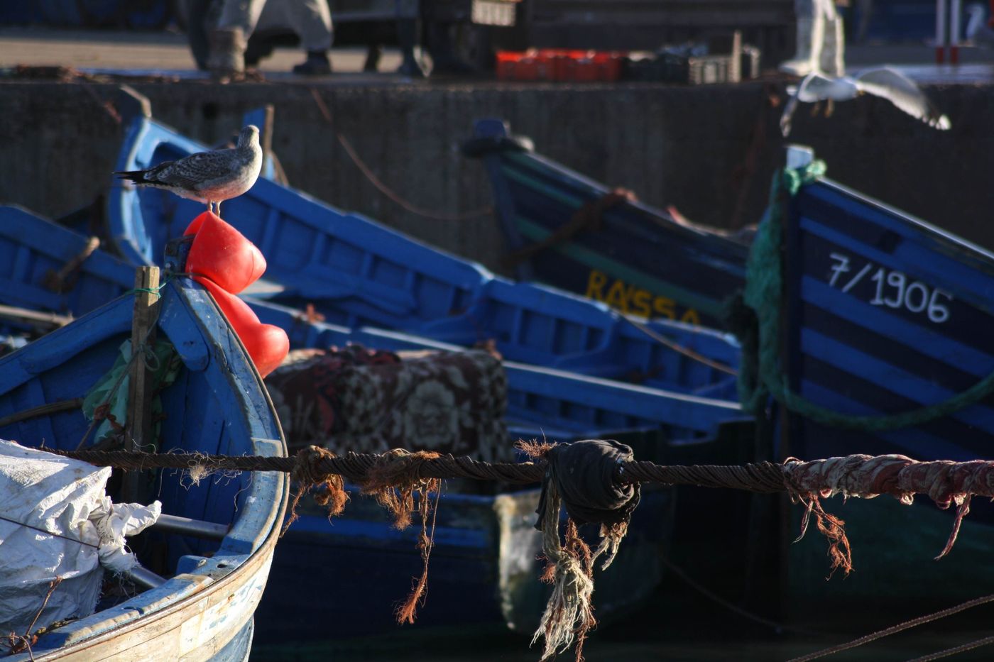 Essaouira