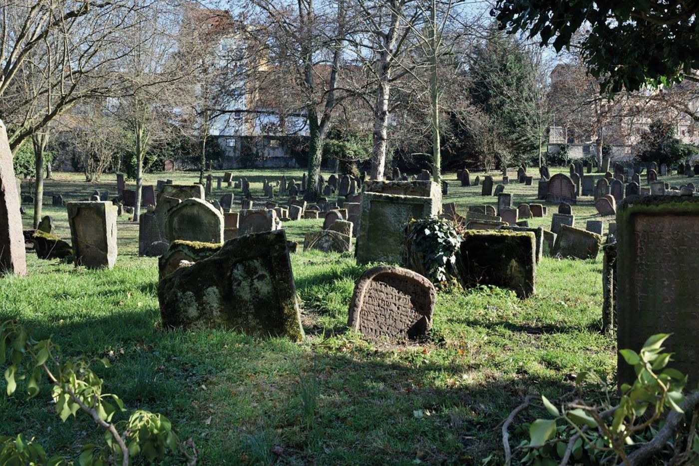 Sites SchUM de Spire, Worms et Mayence : témoignages de la vie juive