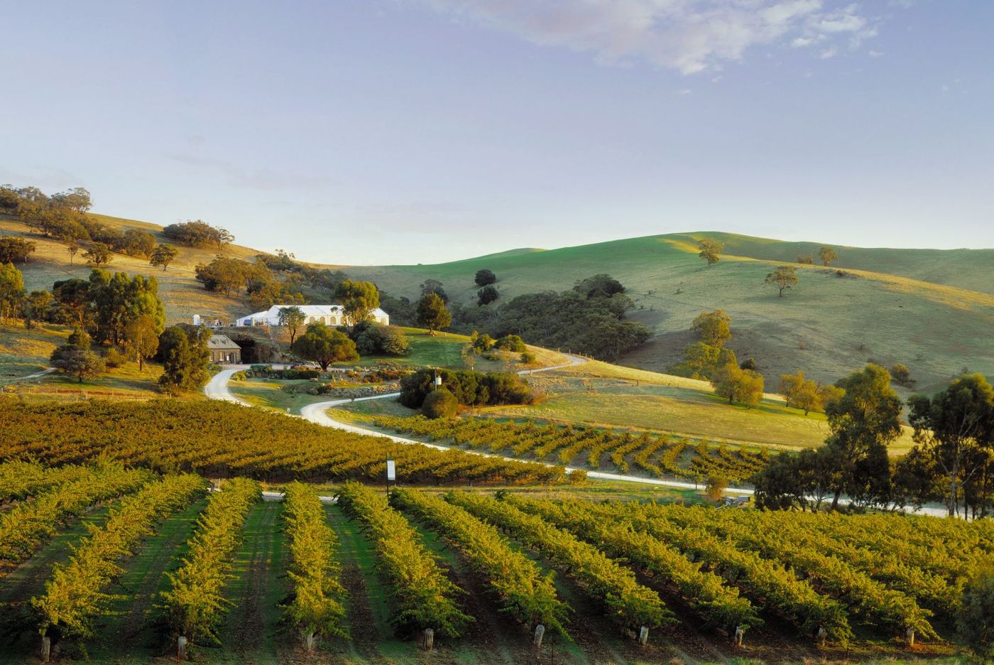 Bethany Wines, Barossa