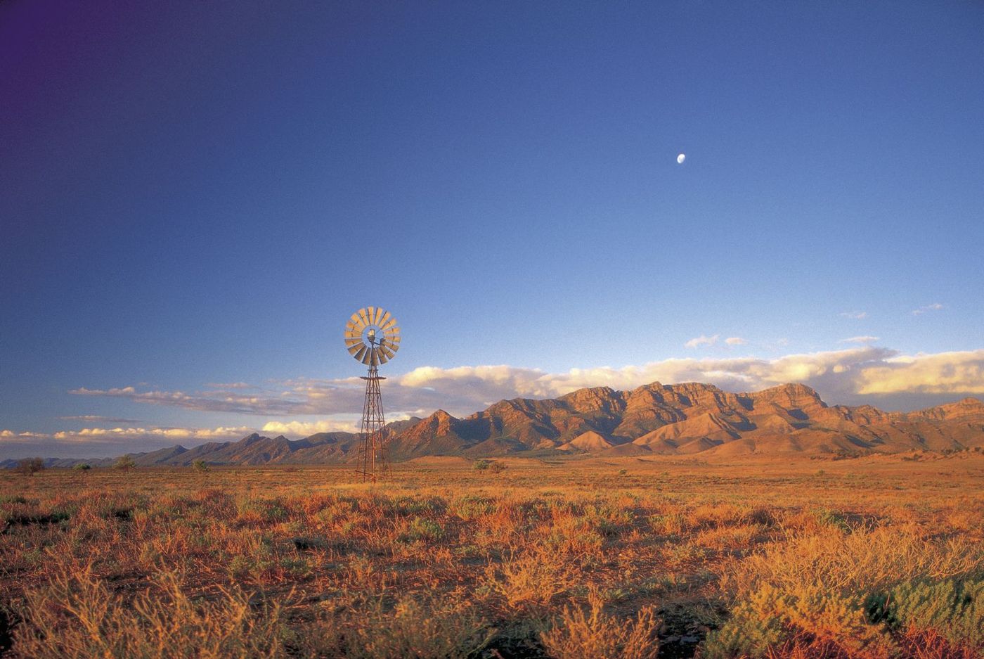 Windmill