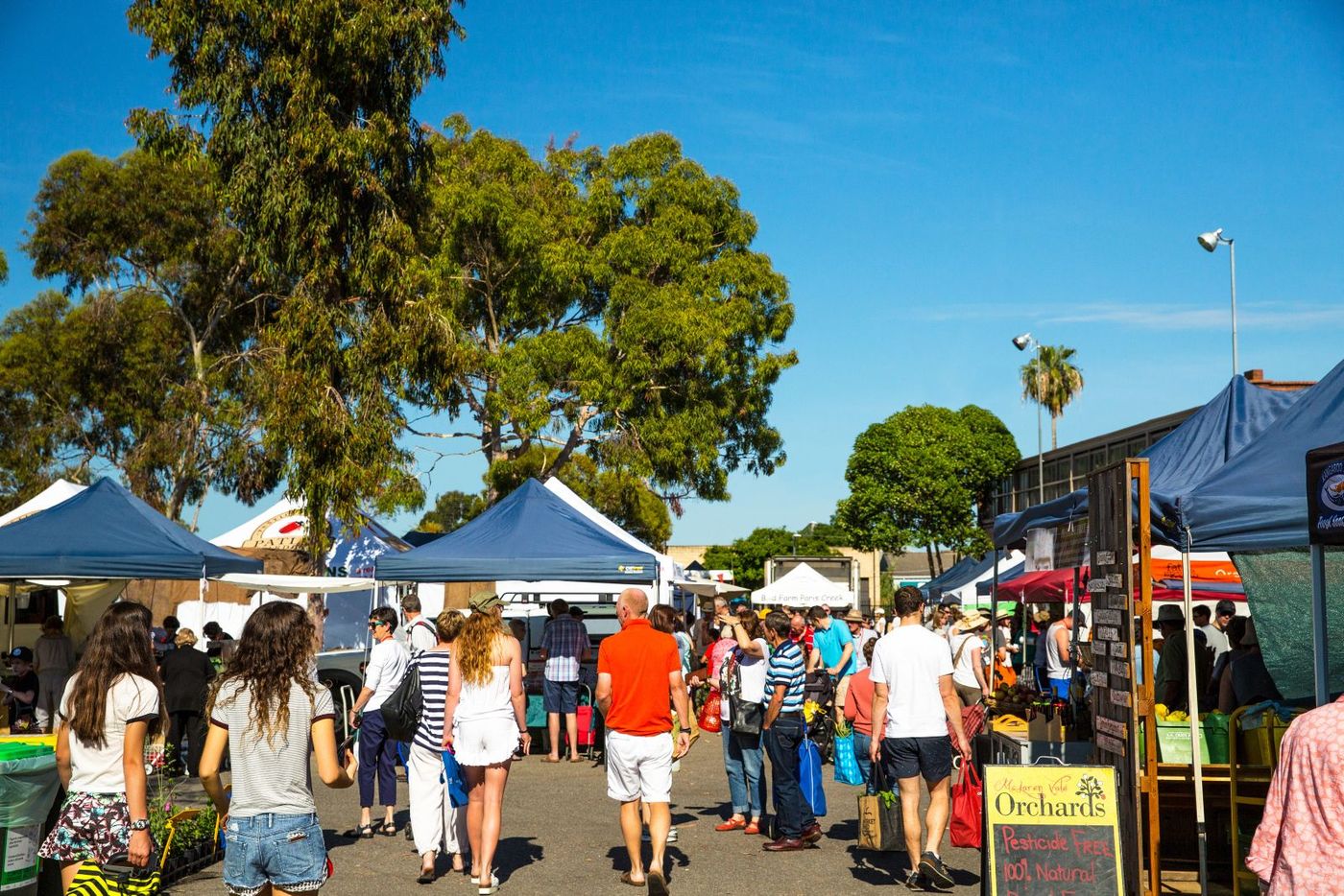 Adelaide Farmers Market, Adelaide Showgrounds