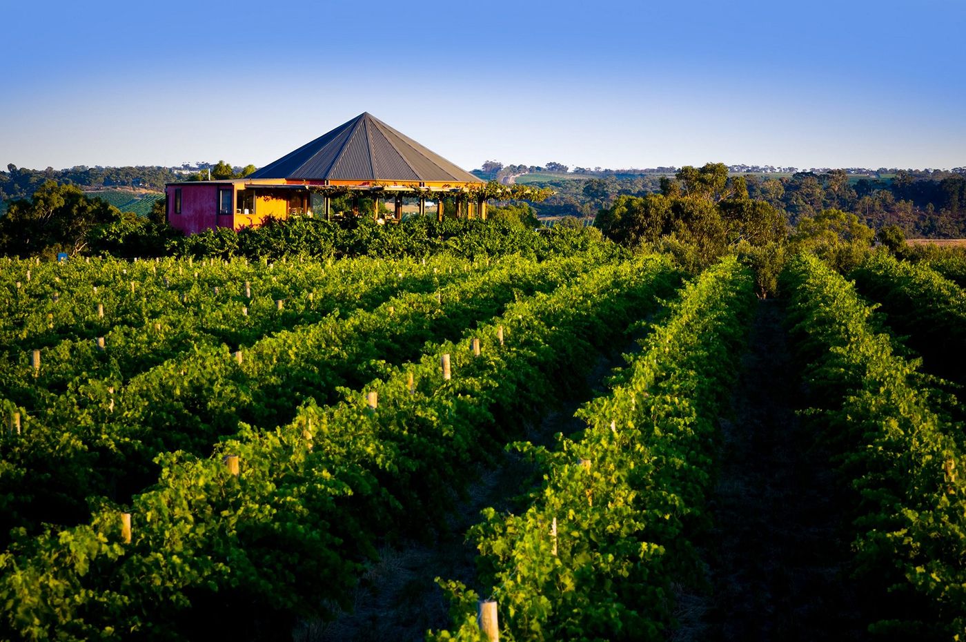 McLaren Vale
