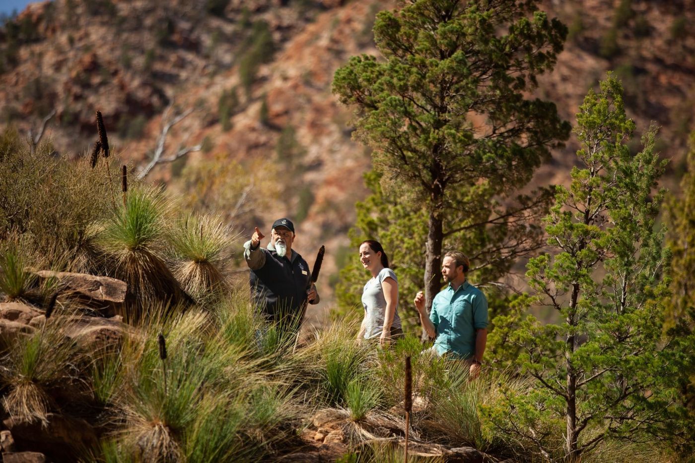 Wilpena Pound Resort - Brachina Gorge