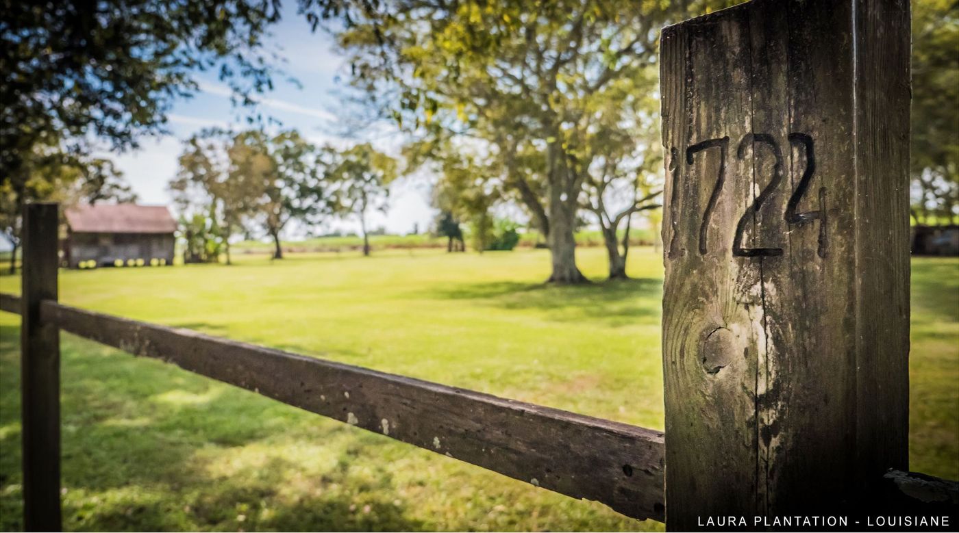 Louisane Laura plantation