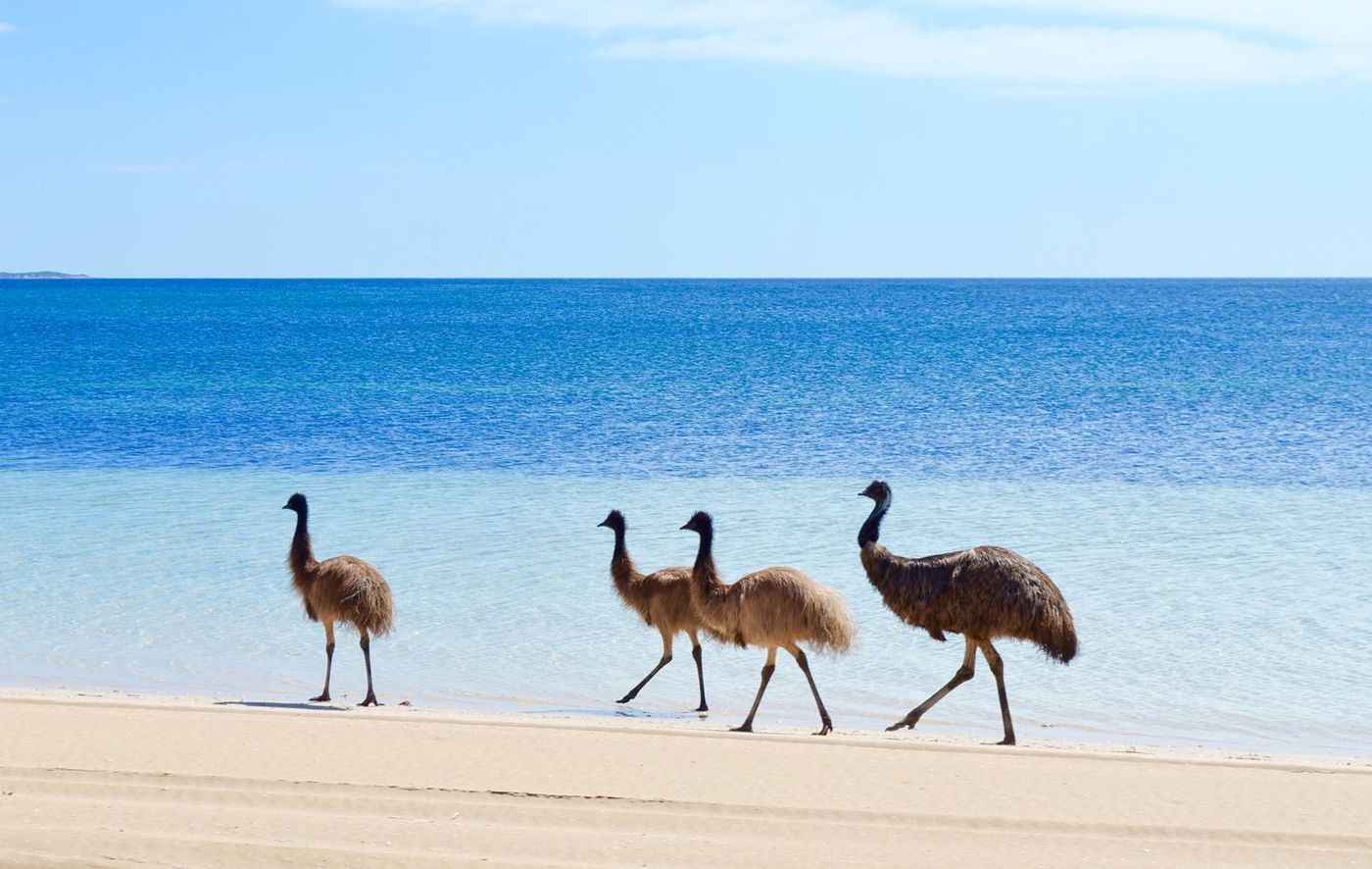 Coffin Bay National Park