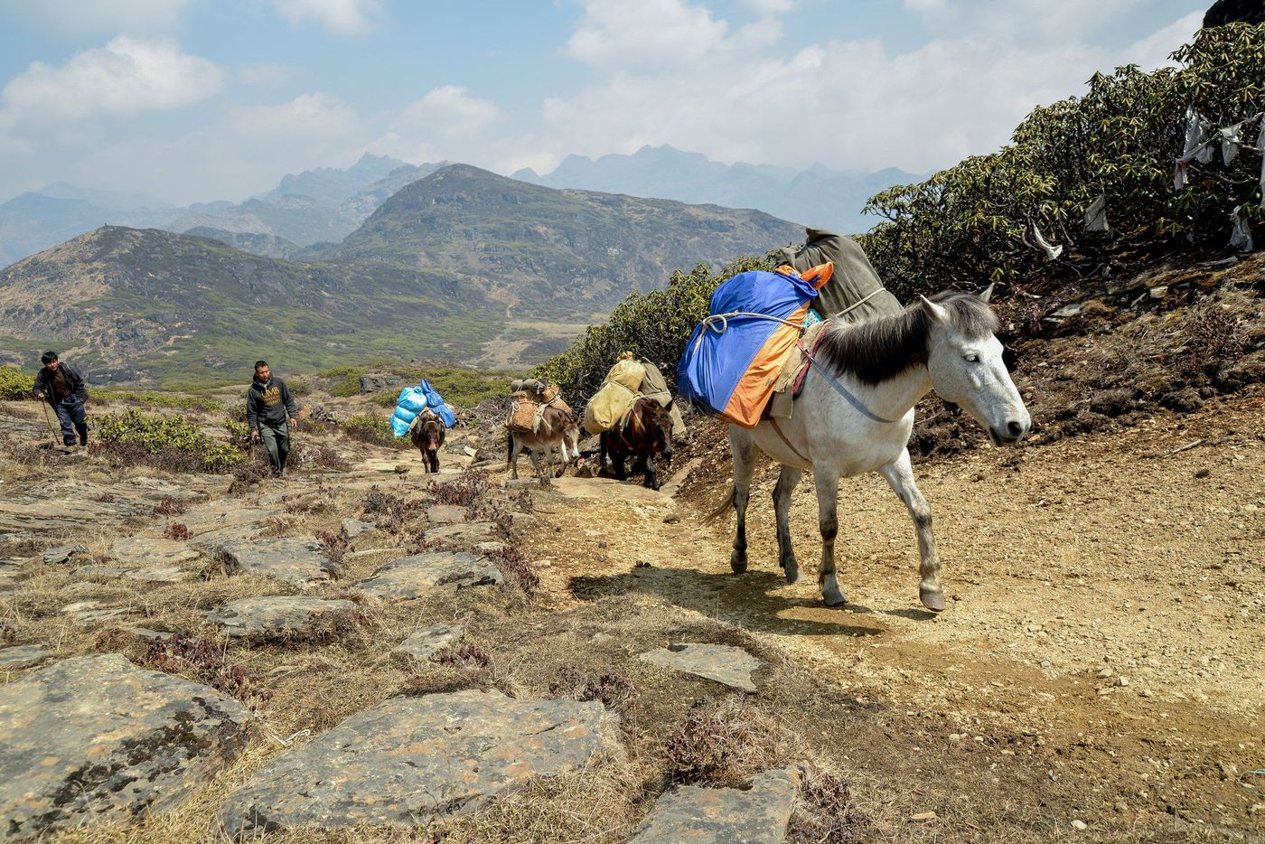 Bhoutan Trek