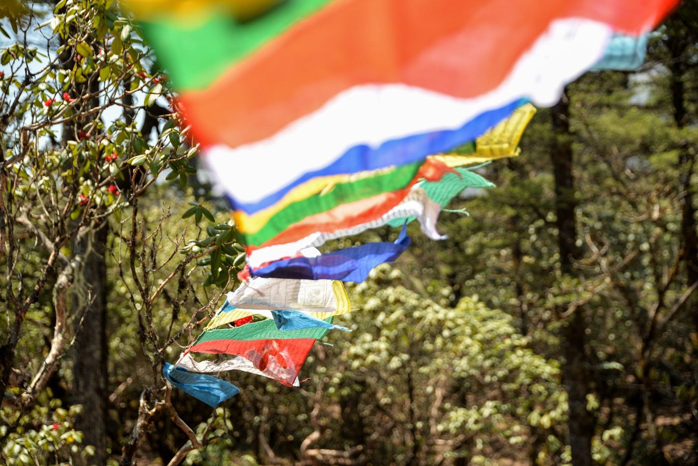 Bhoutan Drapeaux