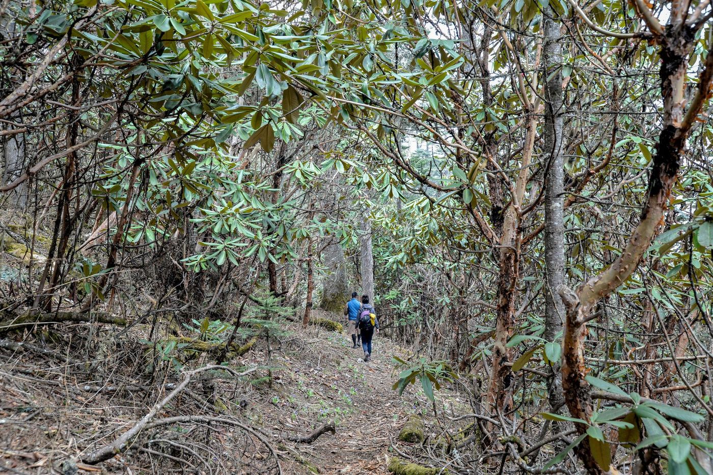 Bhoutan Trek