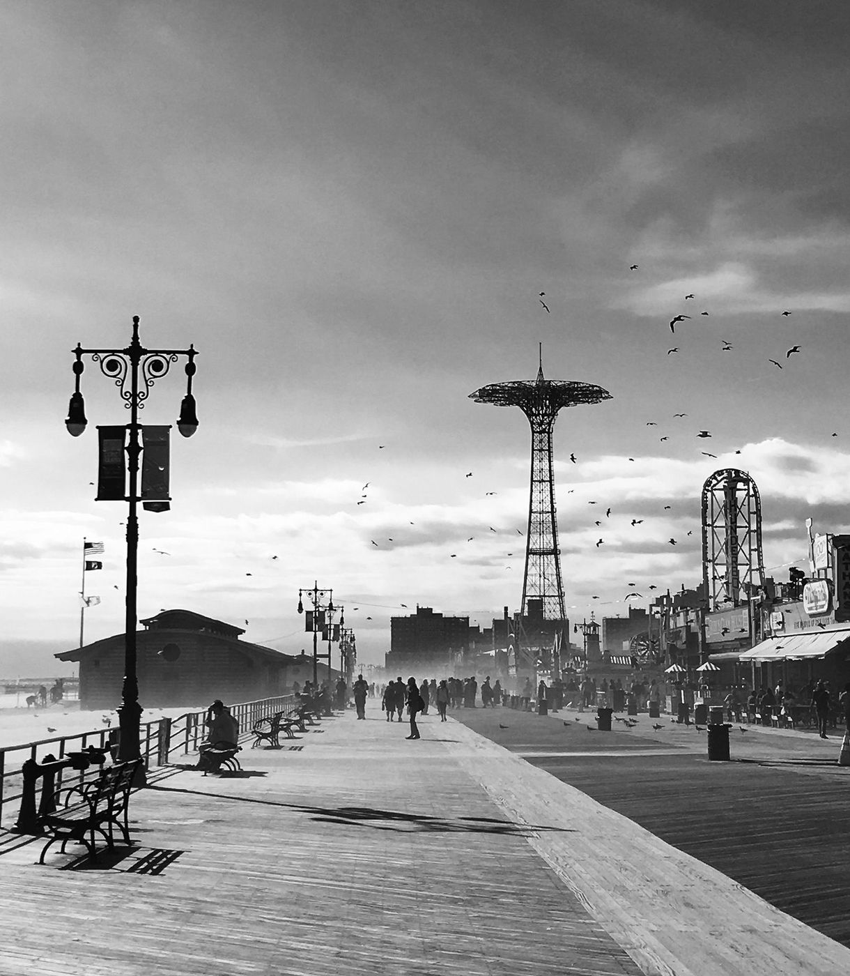 Ippawards Coney Island