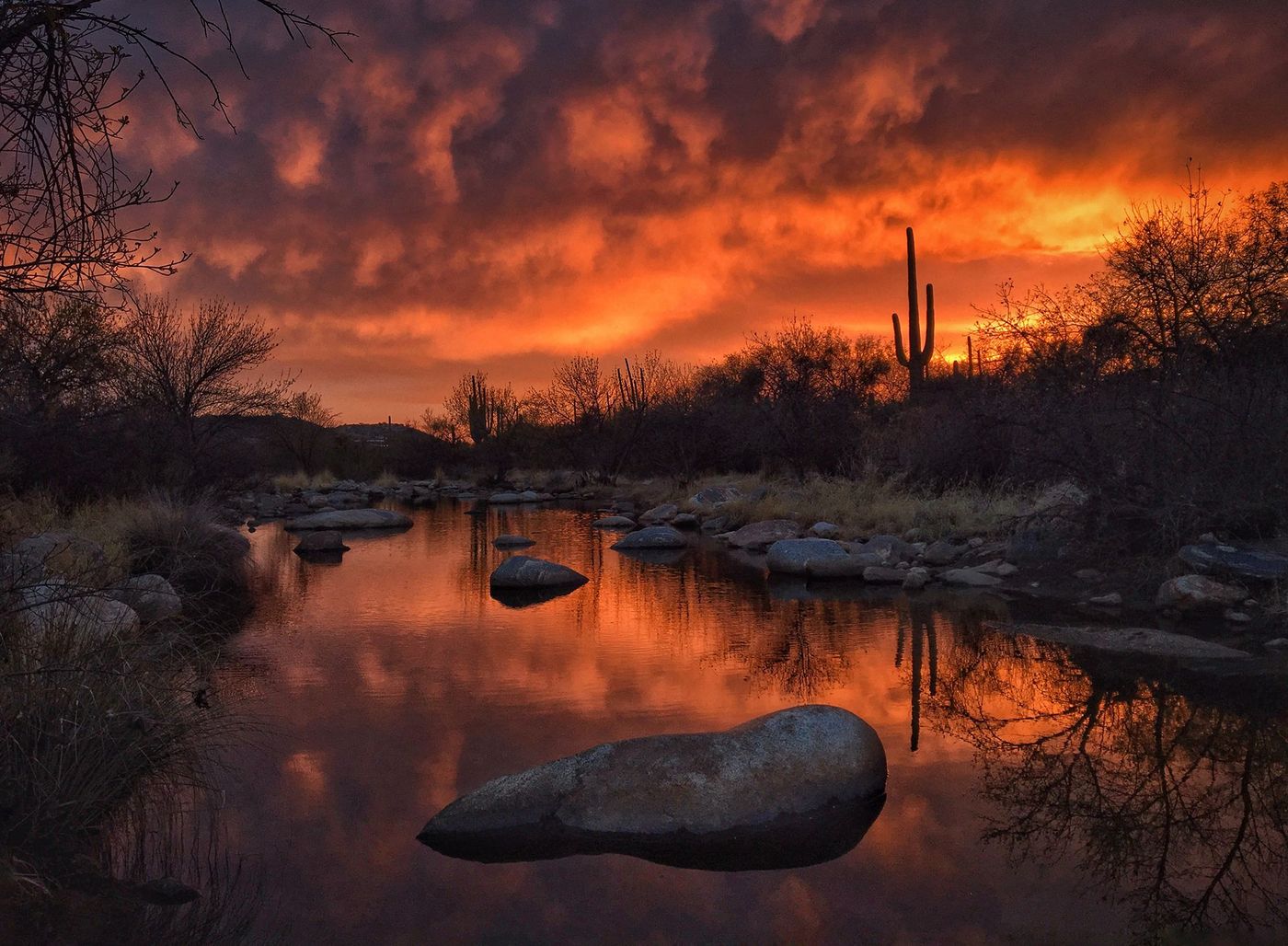 Arizona