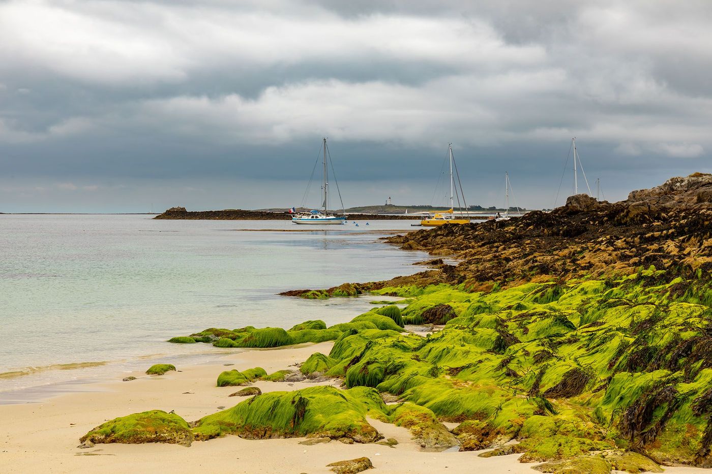Archipel des Glénan - Finistère (Bretagne)