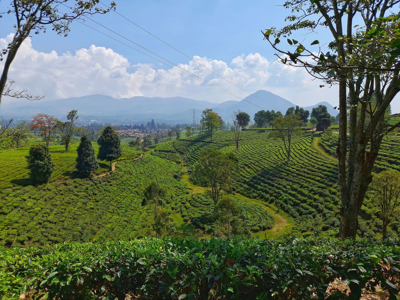 Bandung - Java