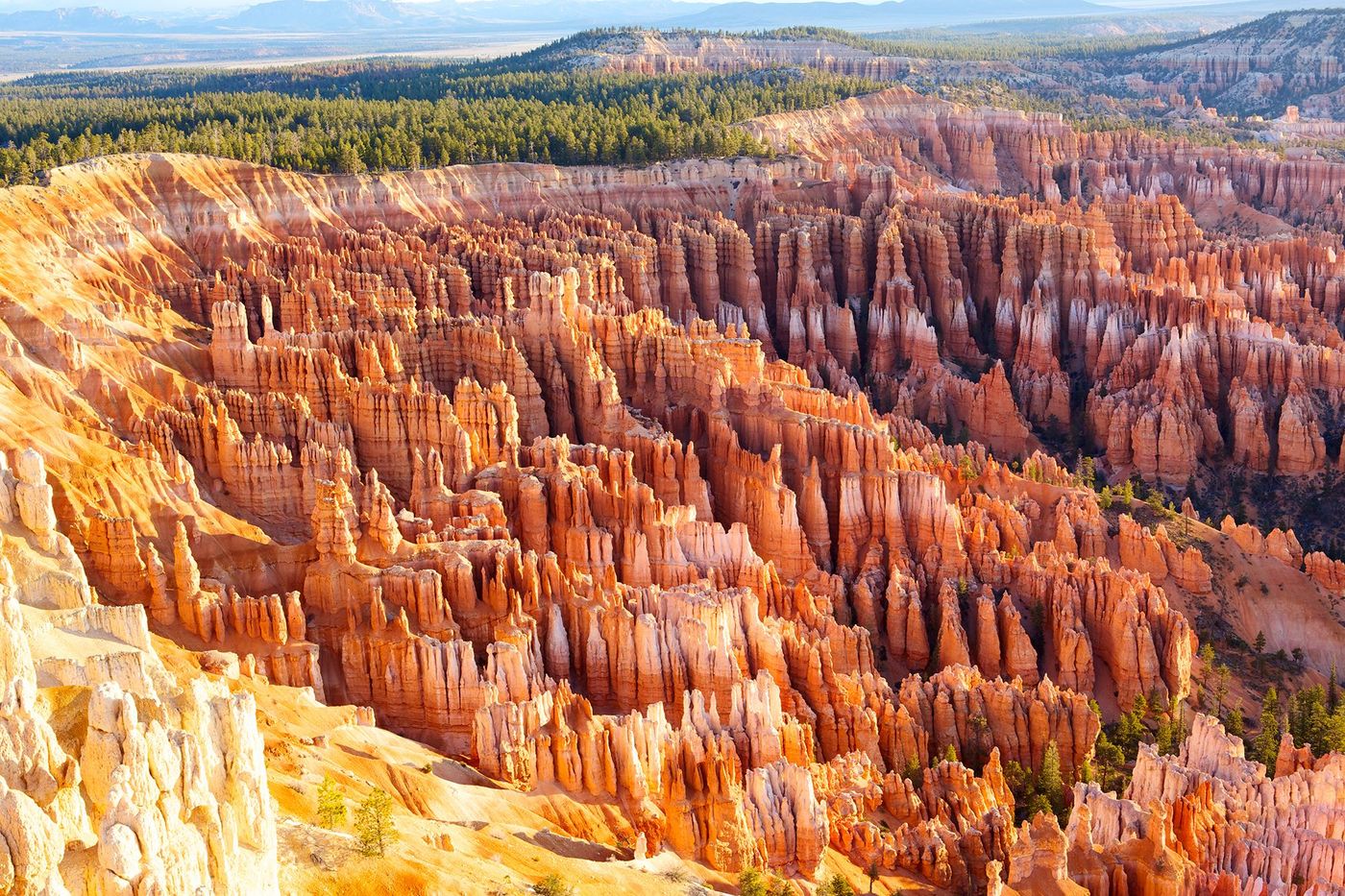 Bryce Canyon 