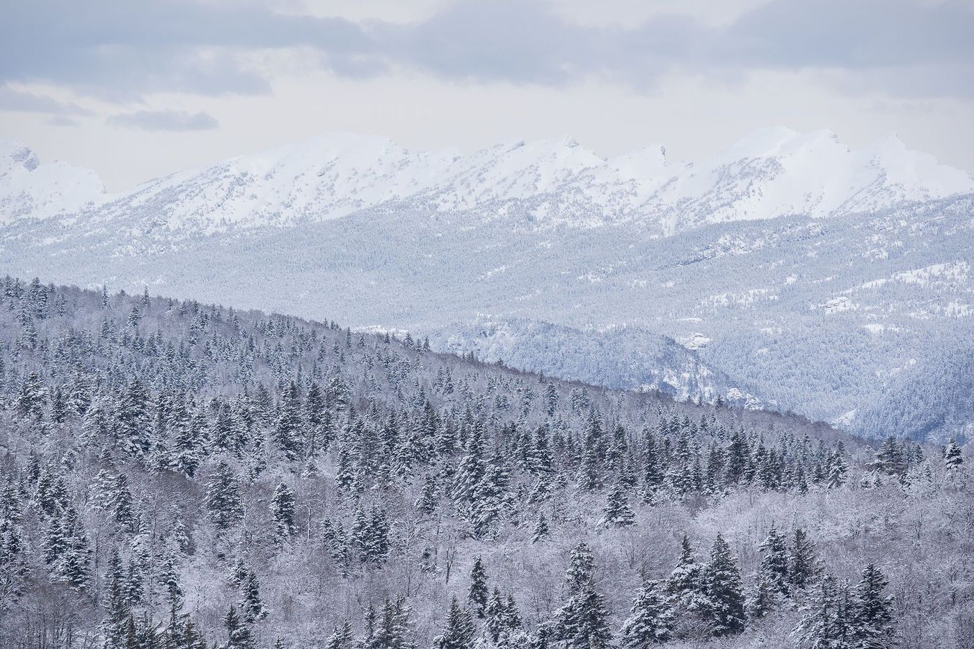 Font d'Urle - Vercors (Alpes)