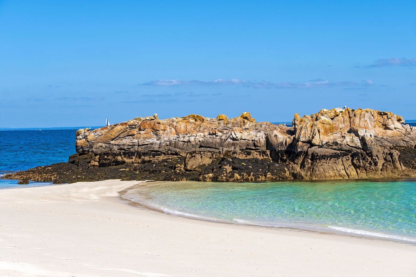 Île Saint-Nicolas dans l'archipel des Glenan - Finistère (Bretagne)