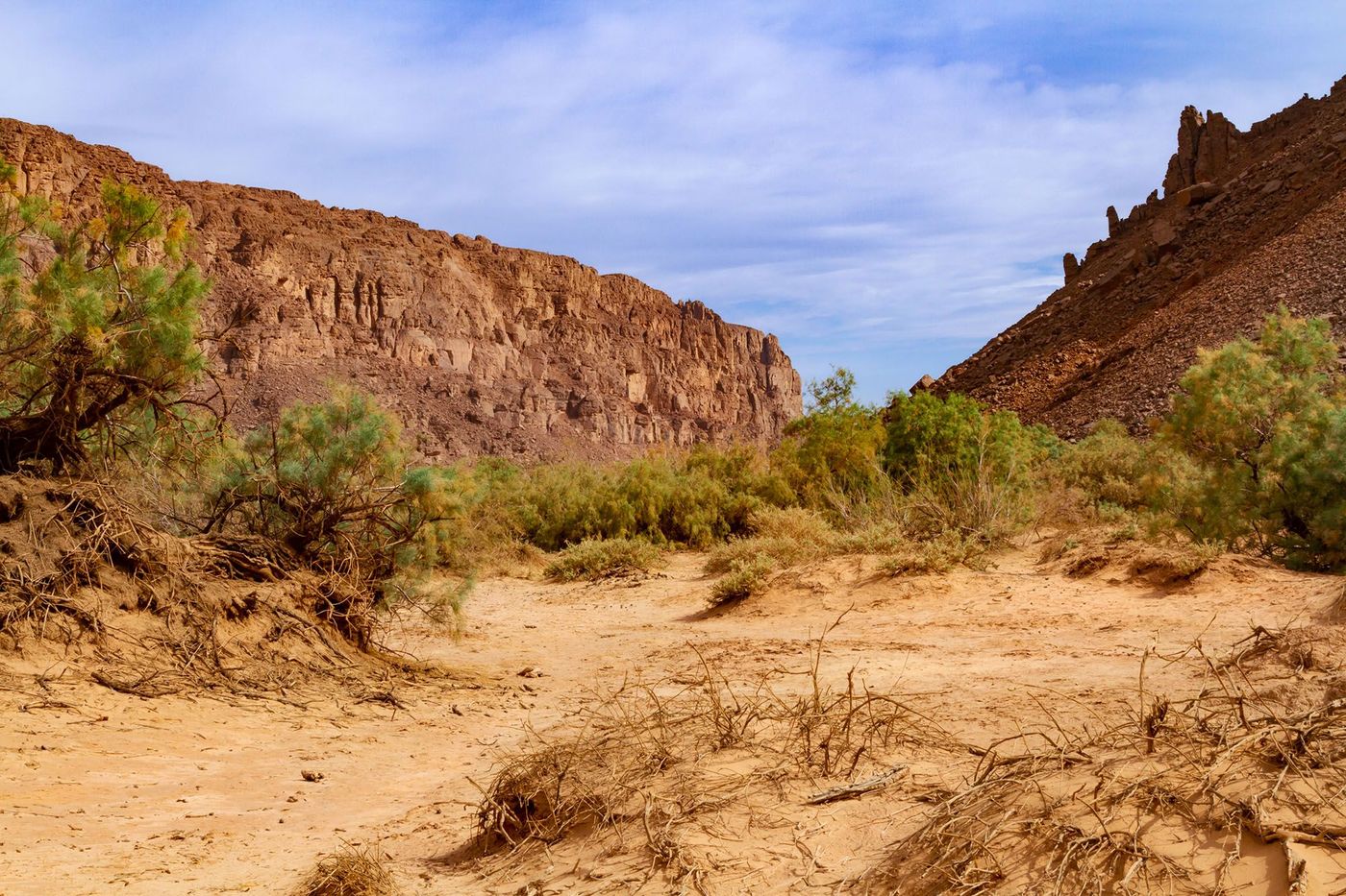 Canyon d'Aharahar dans la province d'Illizi - Djanet (Algérie)