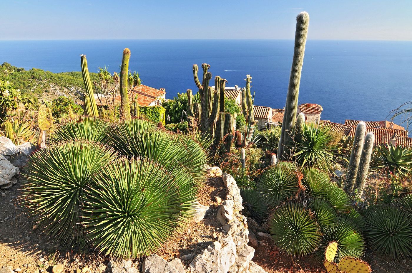 Le Jardin Exotique - Eze