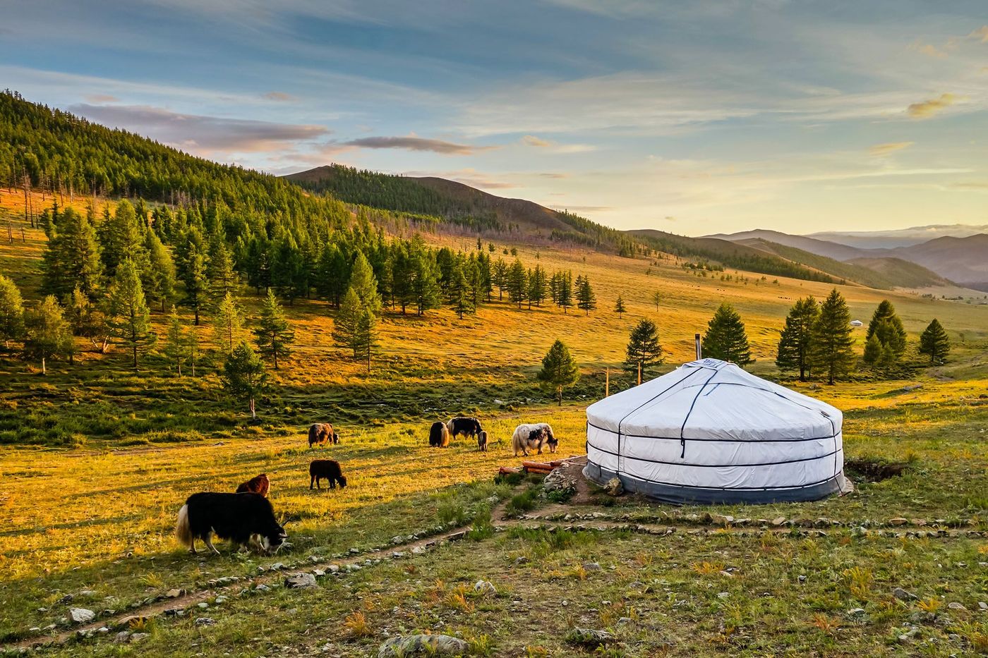 Coucher de soleil sur la vallée mongole - Mongolie
