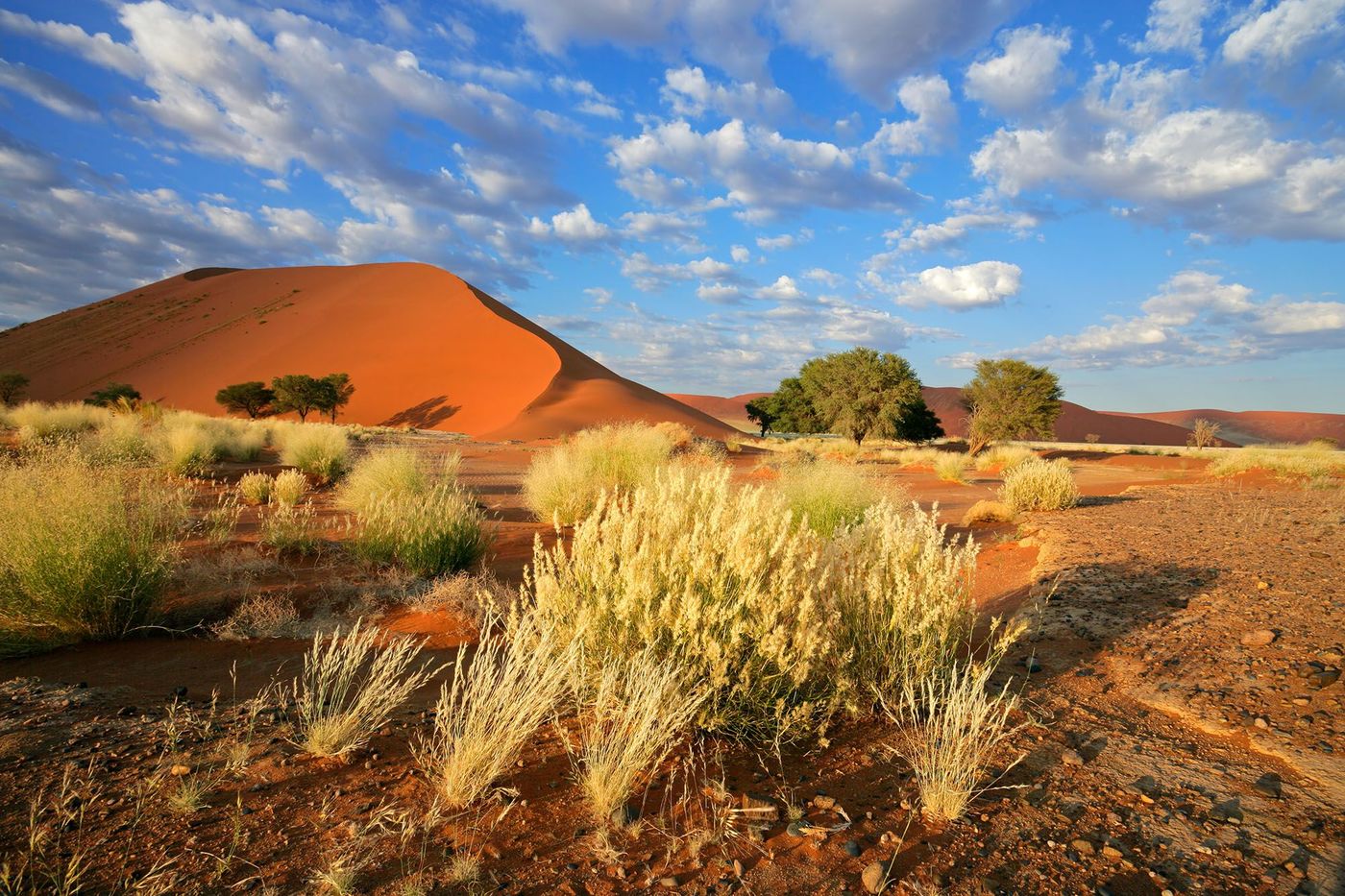 Paysage désertique avec dunes de sable rouge à Sossusvlei - Namibie 