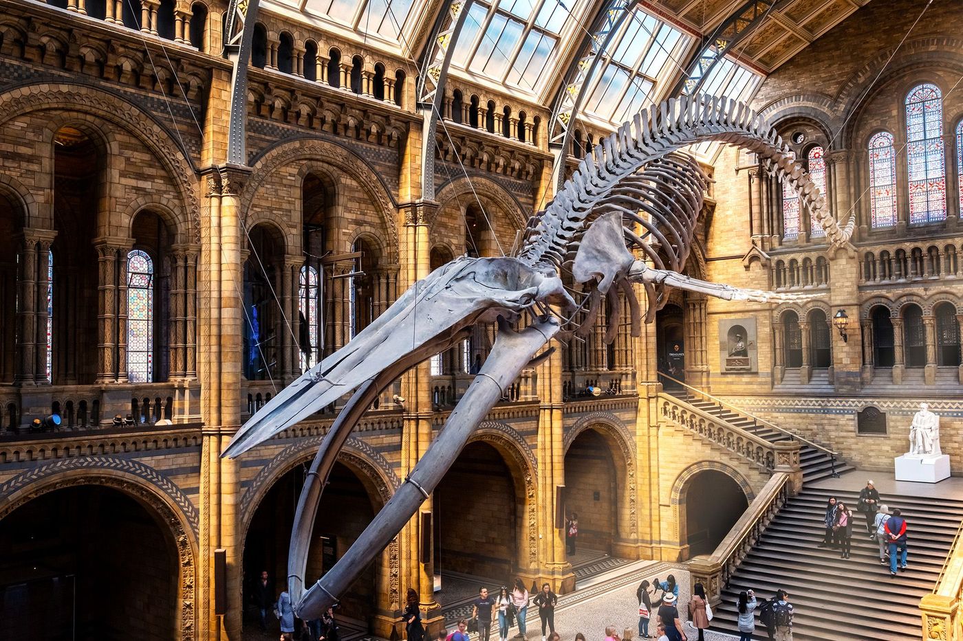 Natural History Museum