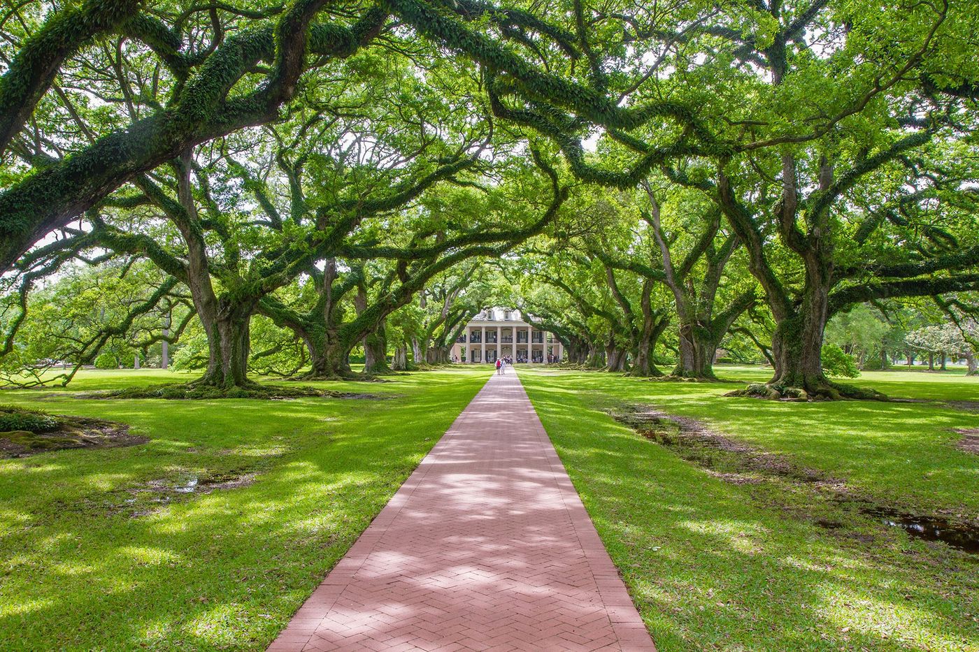 Oak Alley Plantation