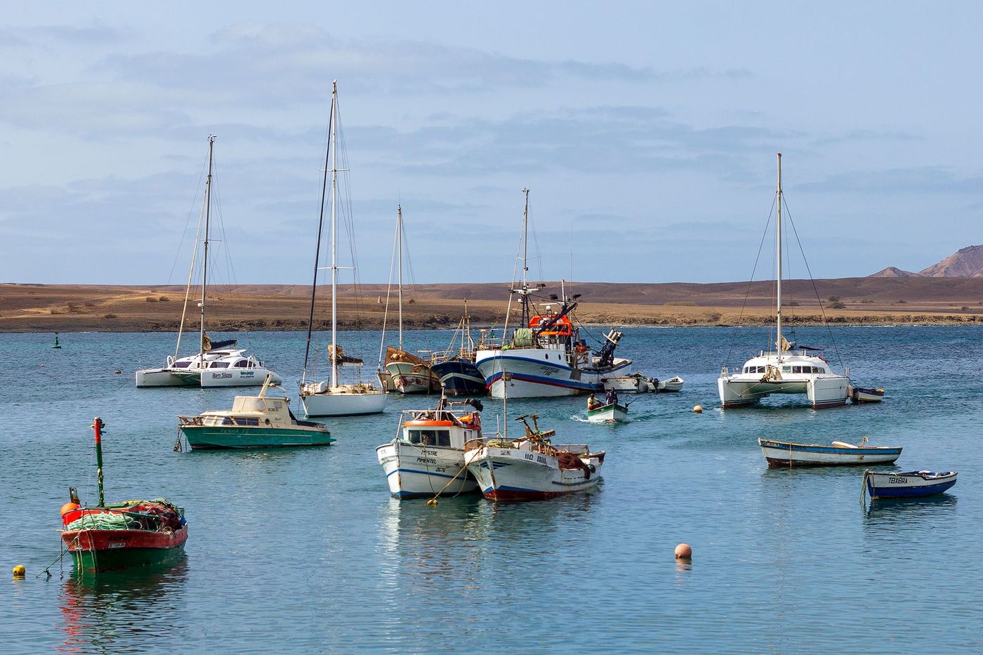 Palmeira